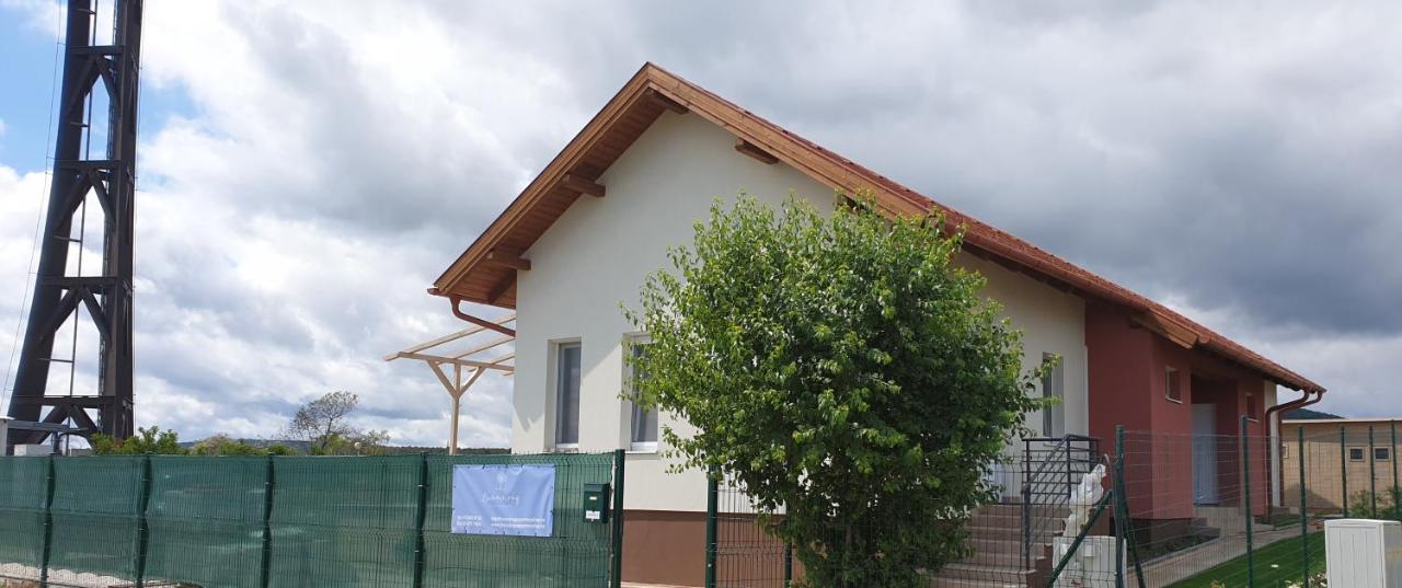 Buzavirag Apartmanhaz Balatonakali Buitenkant foto